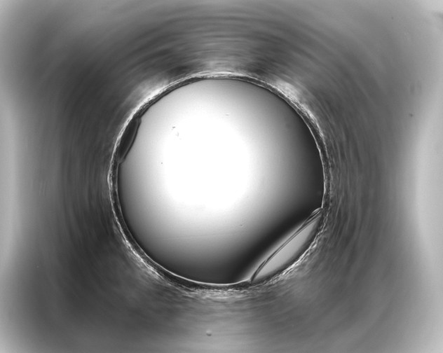 X0000087041189200705021130