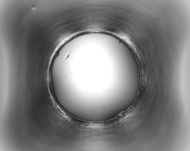 X0000087041191200705021130