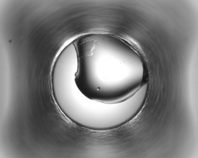 X0000087041192200705021130
