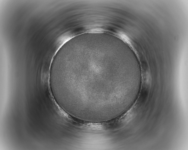 X0000087041194200705021130