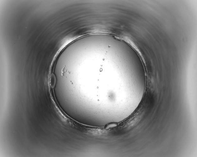 X0000087041195200705021130
