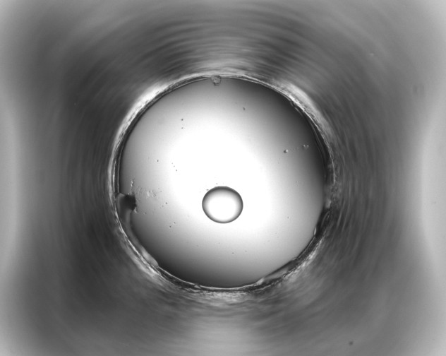 X0000087041196200705021130