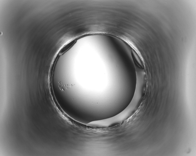 X0000087041197200705021130