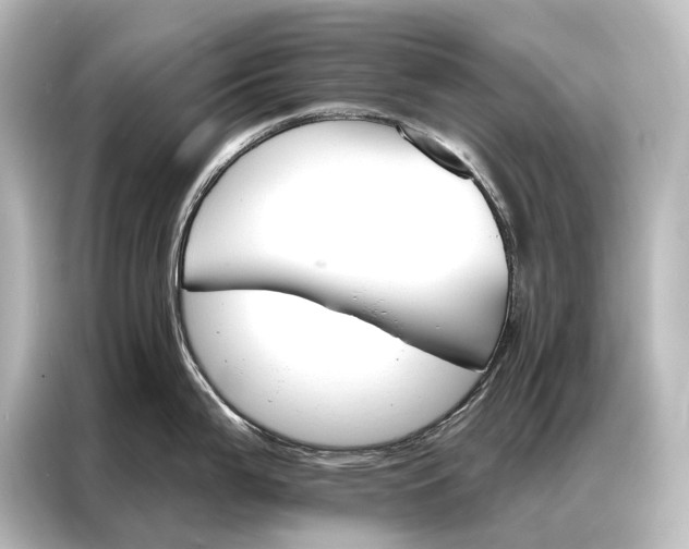 X0000087041199200705021130