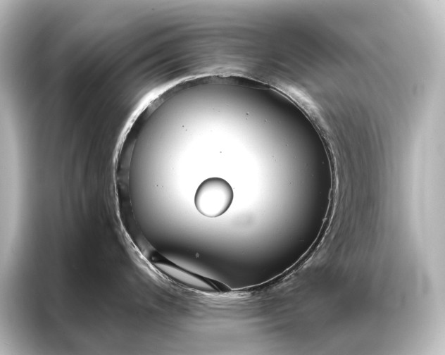 X0000087041200200705021130