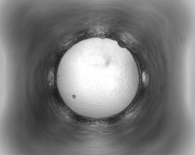 X0000087041203200705021130