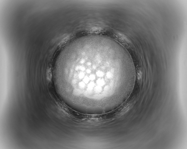 X0000087041204200705021130