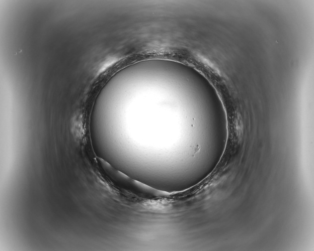 X0000087041206200705021130