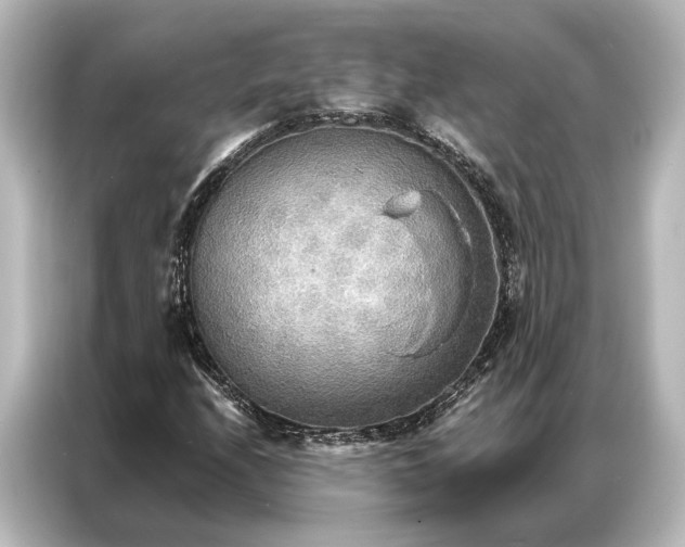 X0000087041208200705021130