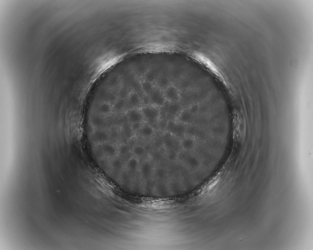 X0000087041213200705021130