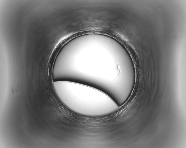 X0000087041214200705021130