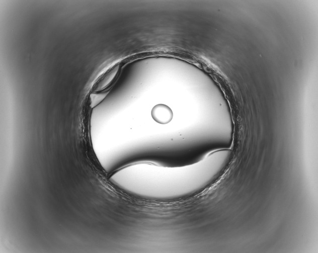 X0000087041215200705021130