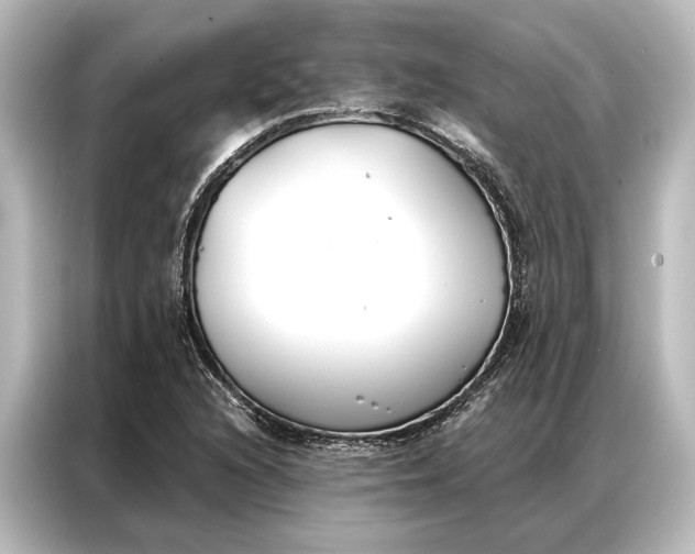 X0000087041216200705021130
