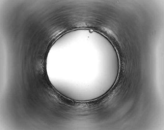 X0000087041217200705021130