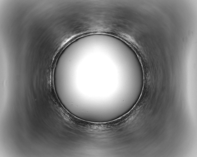 X0000087041220200705021130