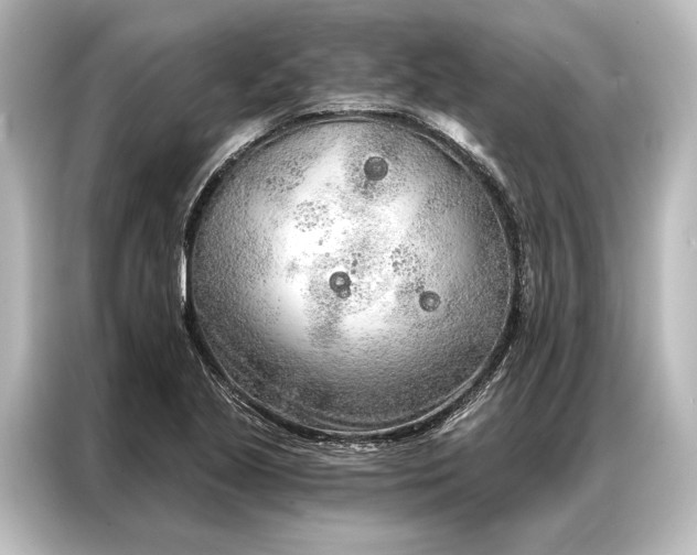 X0000087041221200705021130