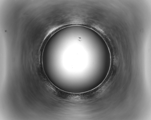 X0000087041222200705021130