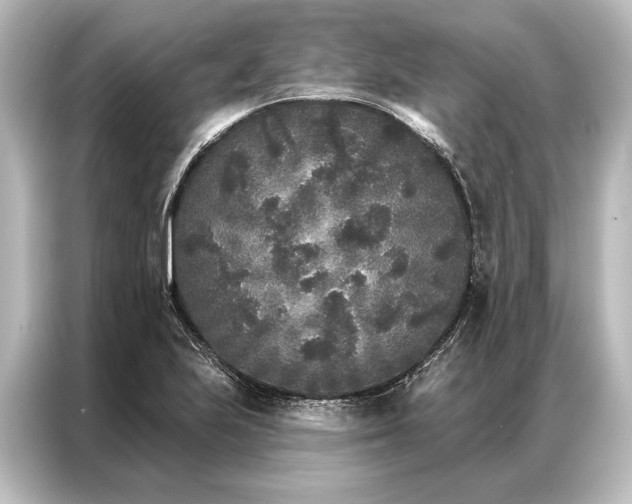 X0000087041223200705021130