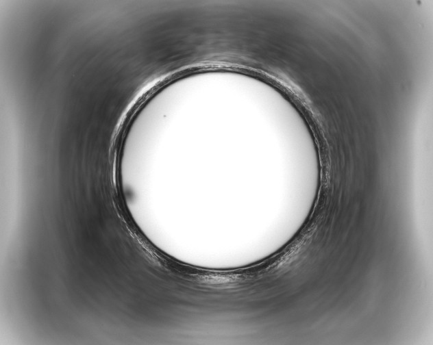 X0000087041224200705021130