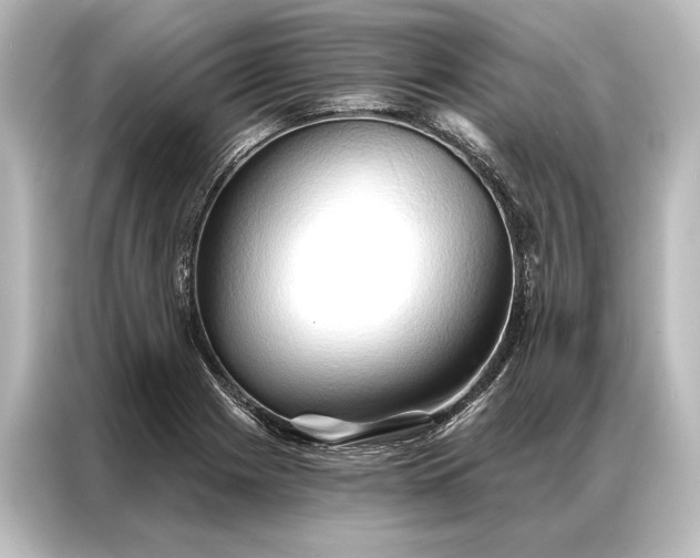X0000087041225200705021130