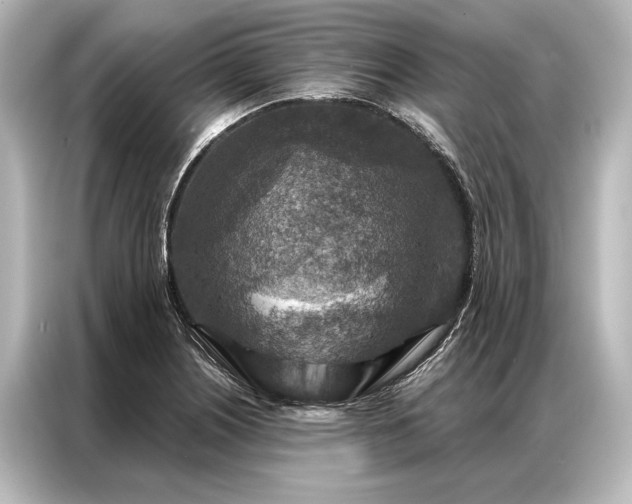 X0000087041226200705021130