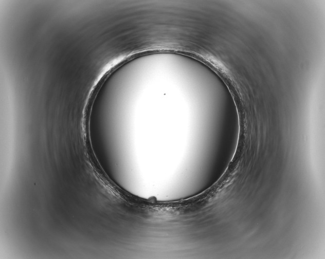 X0000087041230200705021130