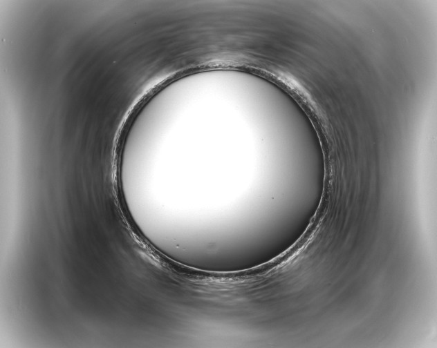 X0000087041232200705021130