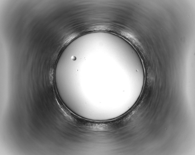 X0000087041233200705021130