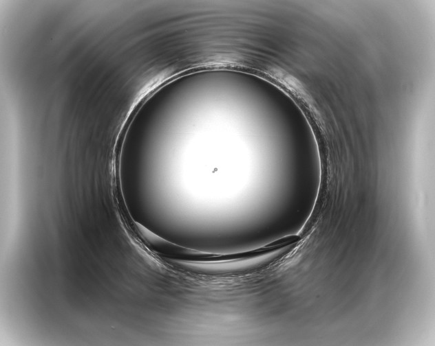 X0000087041234200705021130