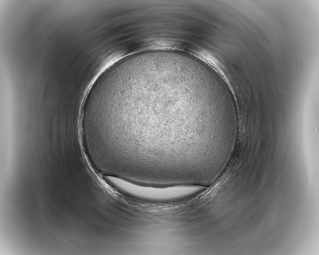 X0000087041235200705021130