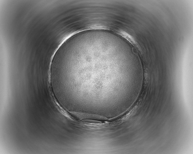 X0000087041236200705021130