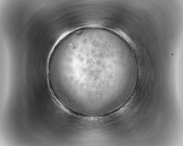 X0000087041240200705021130