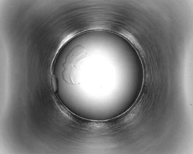 X0000087041242200705021130