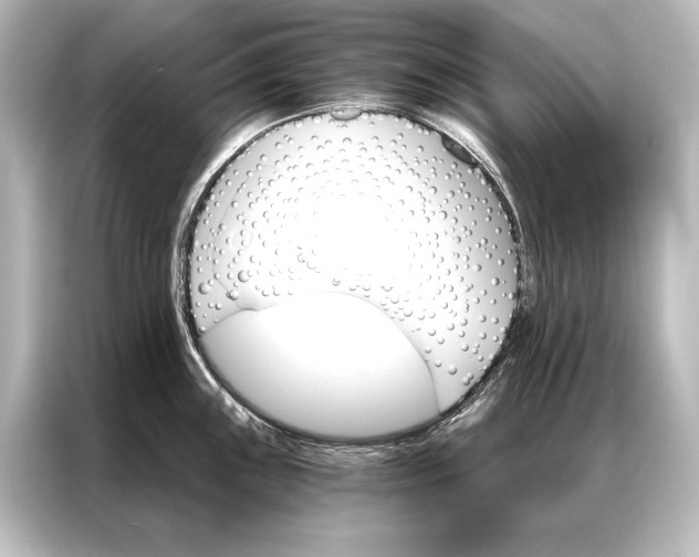 X0000087041243200705021130