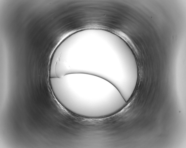 X0000087041244200705021130