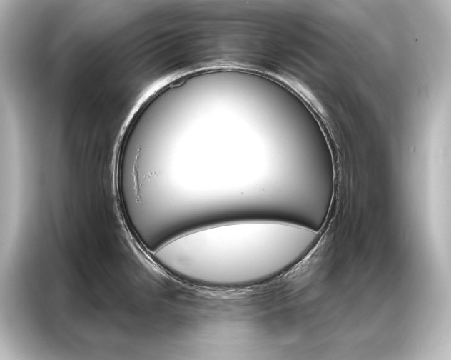 X0000087041246200705021130