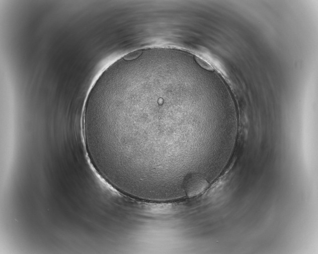 X0000087041247200705021130