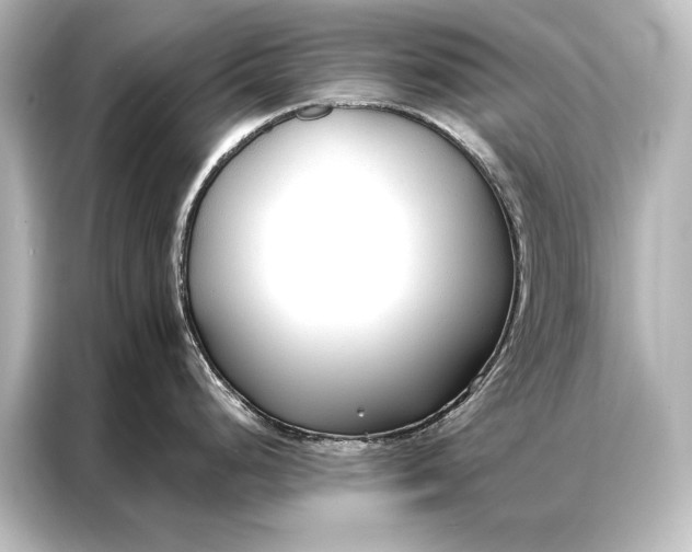 X0000087041248200705021130