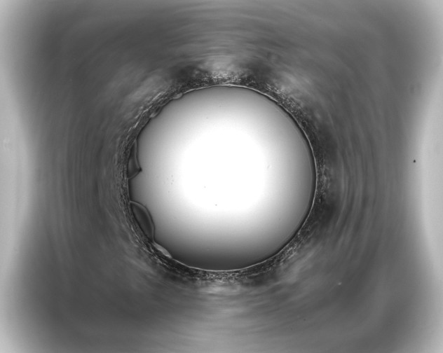 X0000087041249200705021130