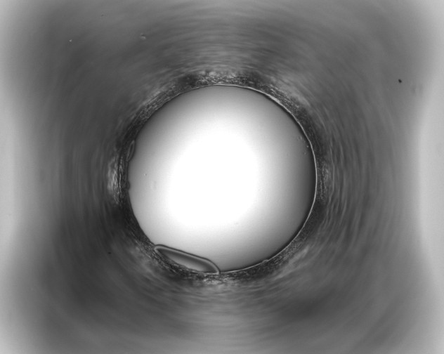 X0000087041250200705021130