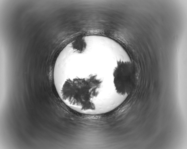 X0000087041251200705021130