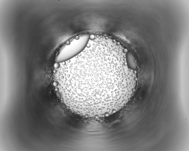 X0000087041255200705021129