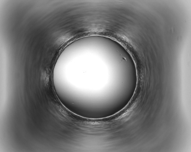 X0000087041257200705021129