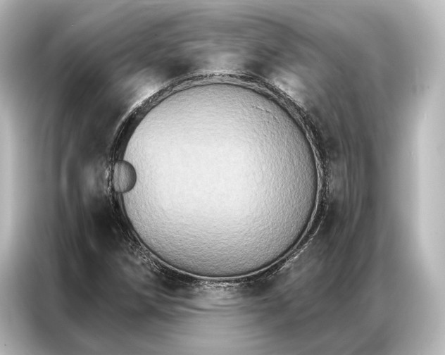 X0000087041258200705021129