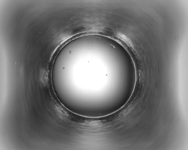 X0000087041260200705021129