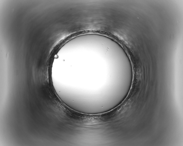 X0000087041262200705021129