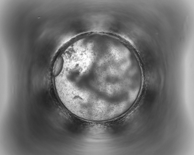 X0000087041263200705021129