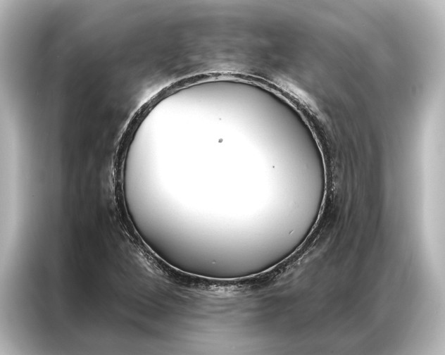 X0000087041264200705021129