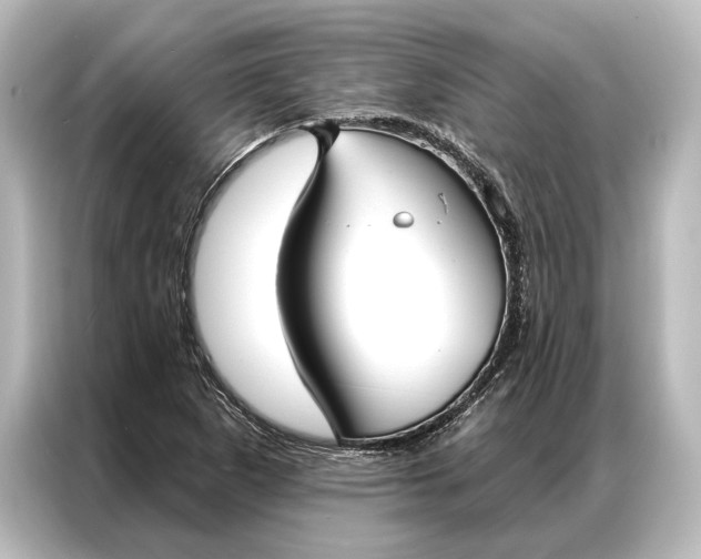 X0000087041265200705021129