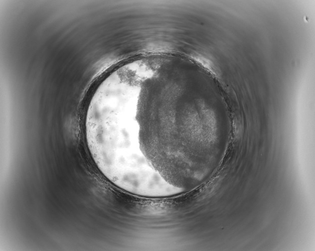X0000087041266200705021129